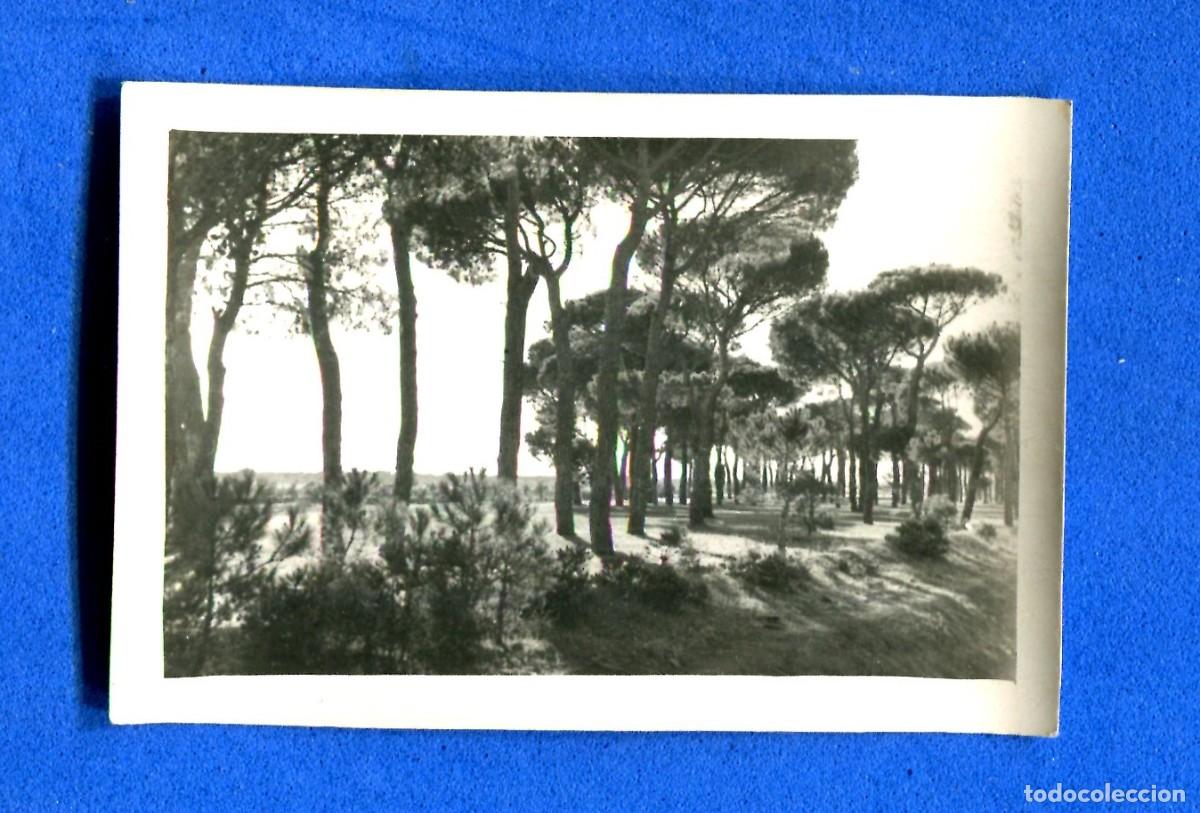 Fotograf&iacute;a antigua: FOTOGRAFIA PAISAJE VALLADOLID