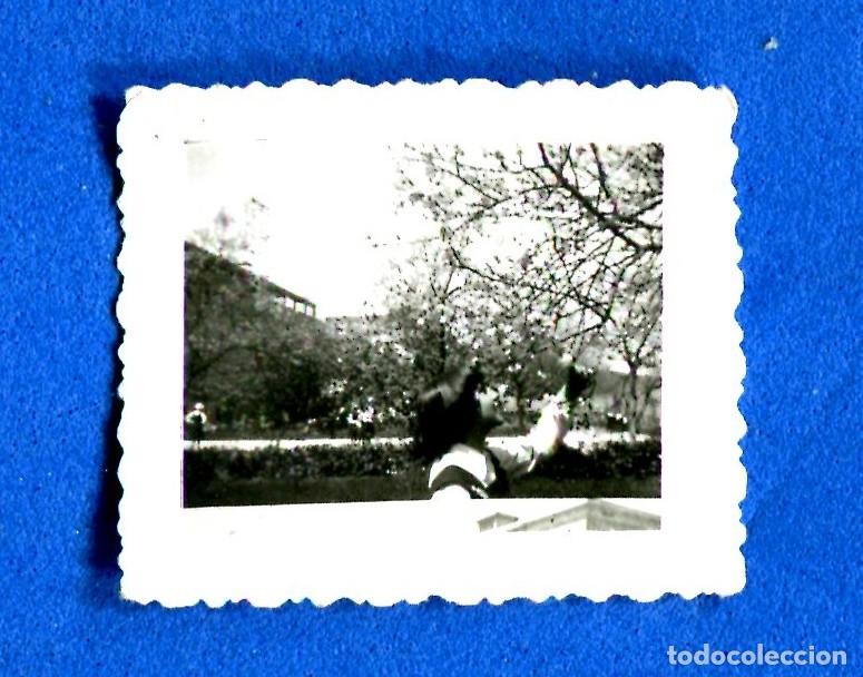 Fotografia antiga: FOTOGRAFIA RETRATO MUJER