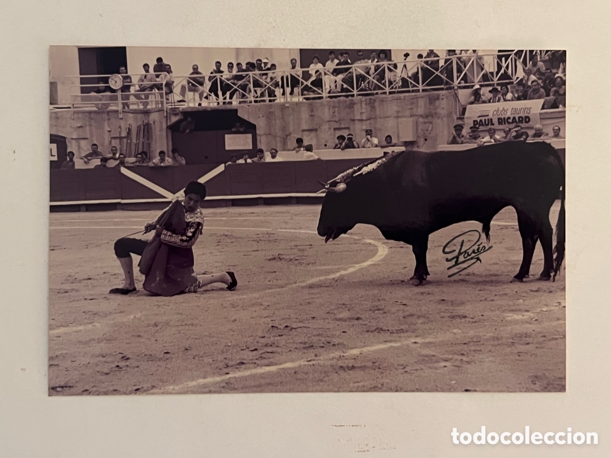 Antique Photography: TAUROMAQUIA. El Torero El Fandi, tentando al toro. Fotograf&iacute;a Pares, Francia (10 x 15)