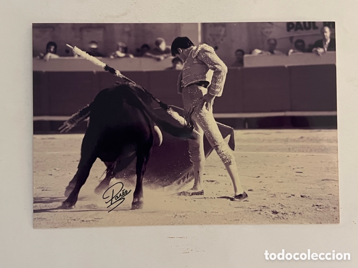 Fotografia antiga: TAUROMAQUIA. Torero.. Enrique Ponce. ARENES DE BEZIERS. Fotograf&iacute;a Pares, Francia (10 x 15)