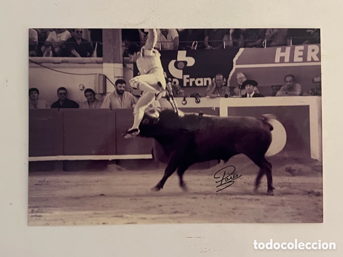 Alte Fotografie: TAUROMAQUIA. Torero, Juan Mora, momento de la cogida .. ARENES DE BEZIERS. Fotograf&iacute;a Pares, Francia