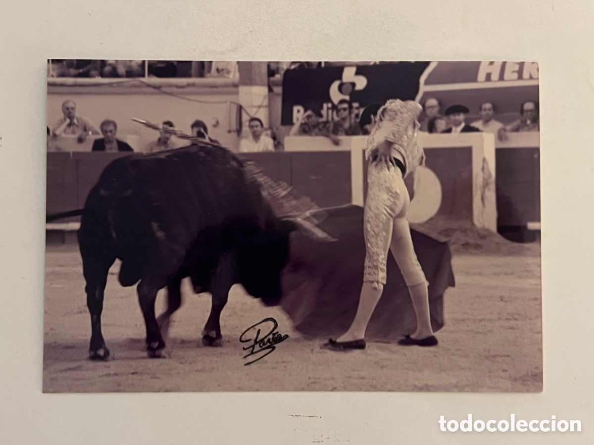 Fotografia antica: TAUROMAQUIA. Torero, Jesulin delante del toro. ARENES DE BEZIERS. Fotograf&iacute;a Pares, Francia
