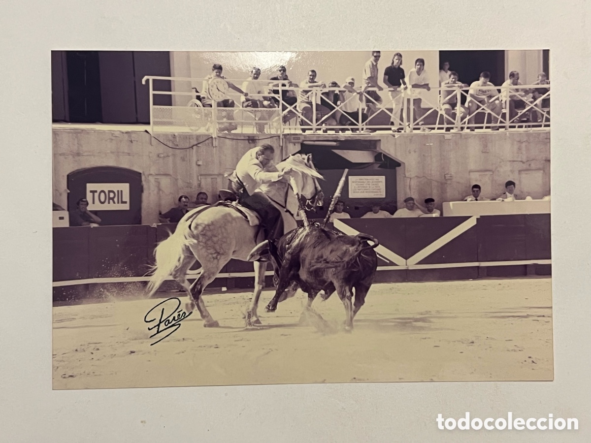Antique Photography: TAUROMAQUIA. Rejoneador Javier Buend&iacute;a .. ARENES DE BEZIERS. Fotograf&iacute;a Pares, Francia (10 x 15)