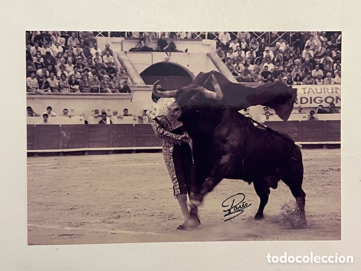 Fotograf&iacute;a antigua: TAUROMAQUIA. Torero, Tomas Campuzano frente a un Miura. ARENES DE BEZIERS. Fotograf&iacute;a Pares