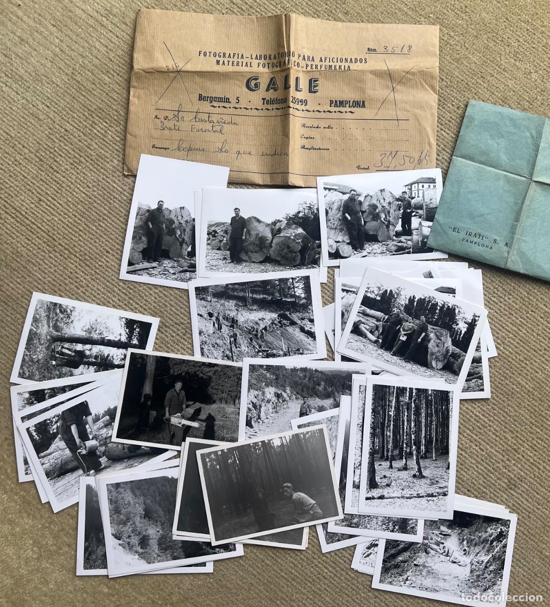 Alte Fotografie: Lote 40 fotograf&iacute;as de trabajos forestales. Empresa El Irati S. A. - Pamplona (Navarra) A&ntilde;os 64/65