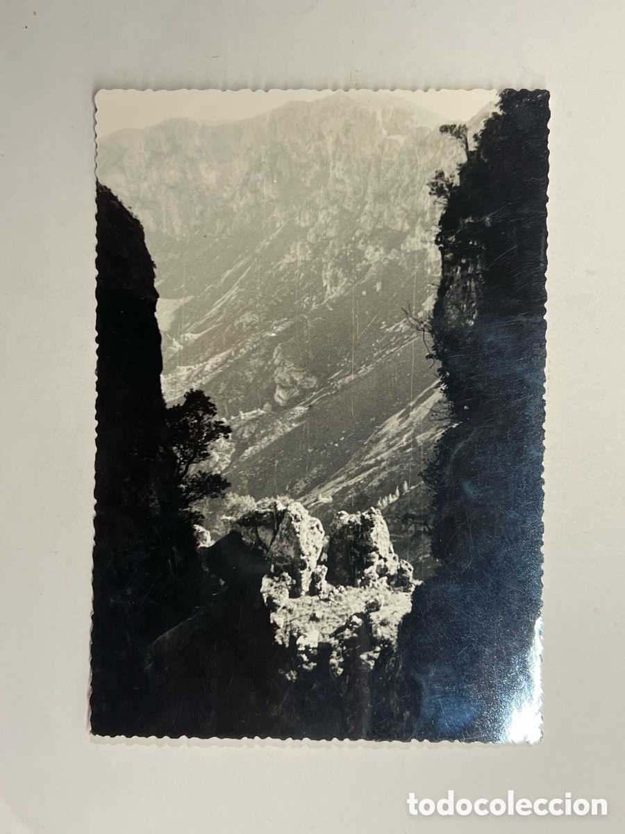 Fotograf&iacute;a antigua: VILLALONGA, Valencia. La Safor en la Ventana. Archivo D. Enrique Guillot. Centro Excursionista