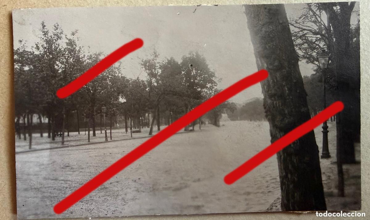 Fotograf&iacute;a antigua: Paseo de la Castellana Finales del XIX Principios del XX Fotografia Antigua