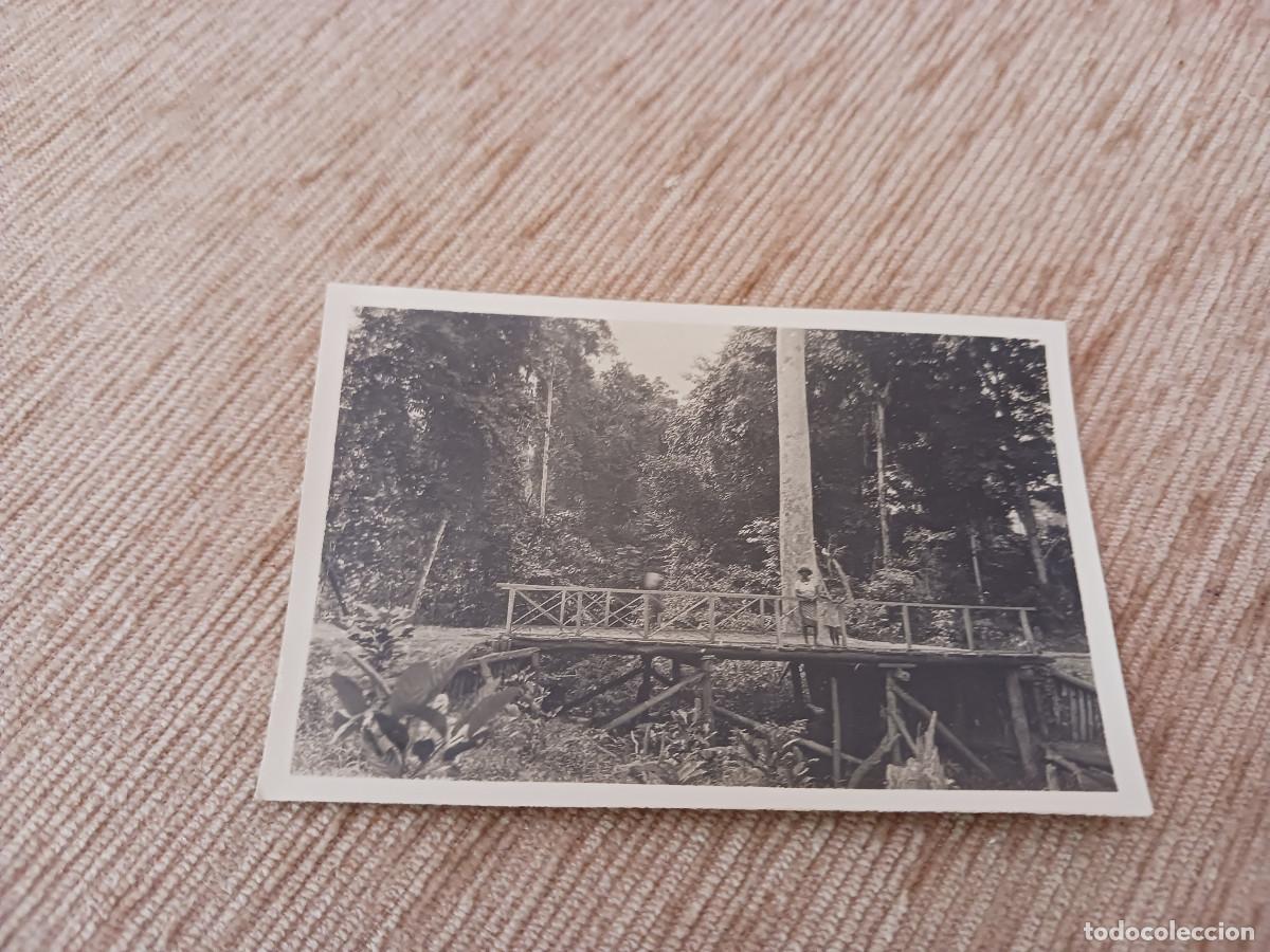 Fotograf&iacute;a antigua: fotografia de puente de madera del ferrocarril forestal belebu balacha, guinea ecuatorial 1931