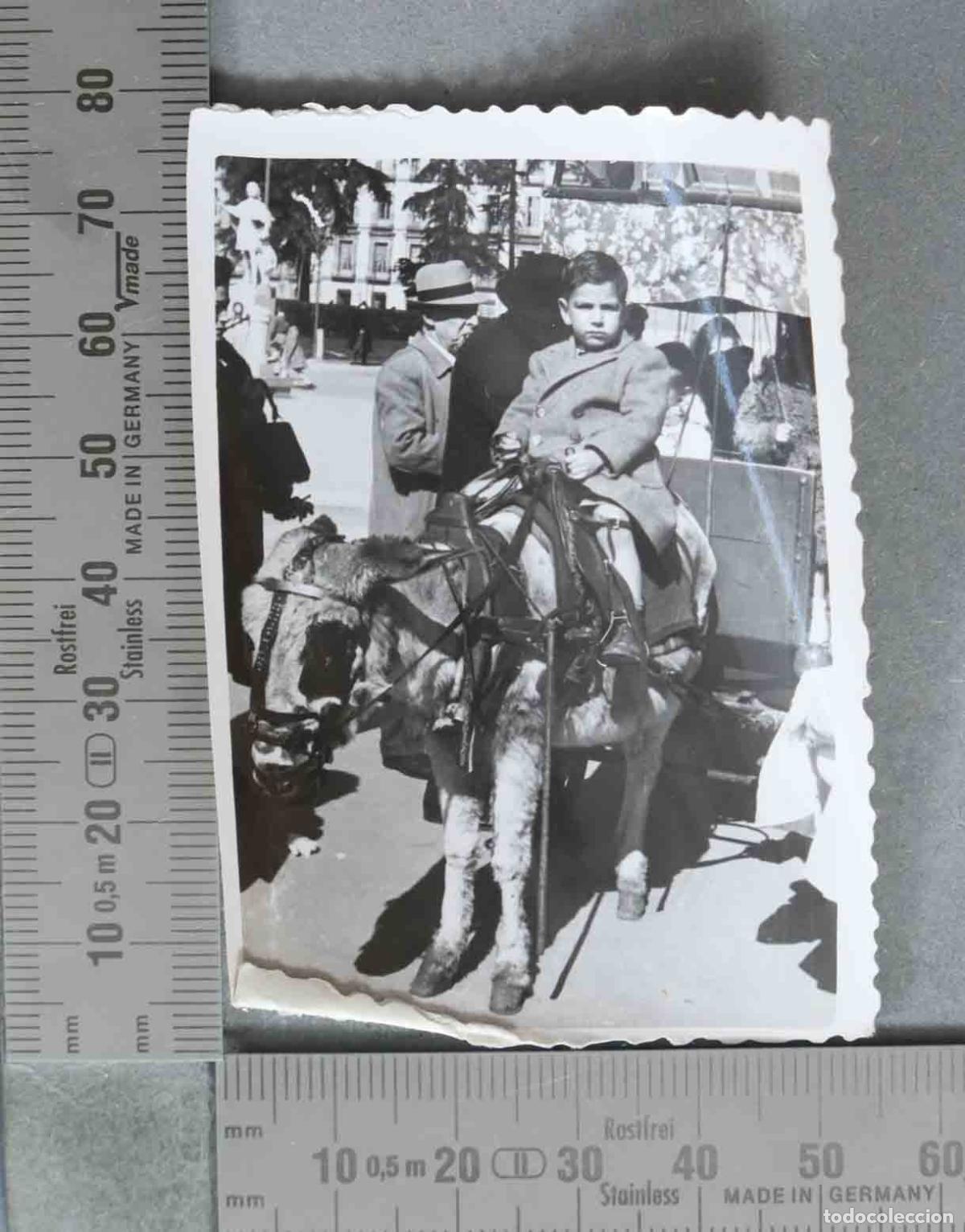 Alte Fotografie: FOTOGRAFIA. Ni&ntilde;o montado en burro tirando de carro con ni&ntilde;os. HACIA 1950