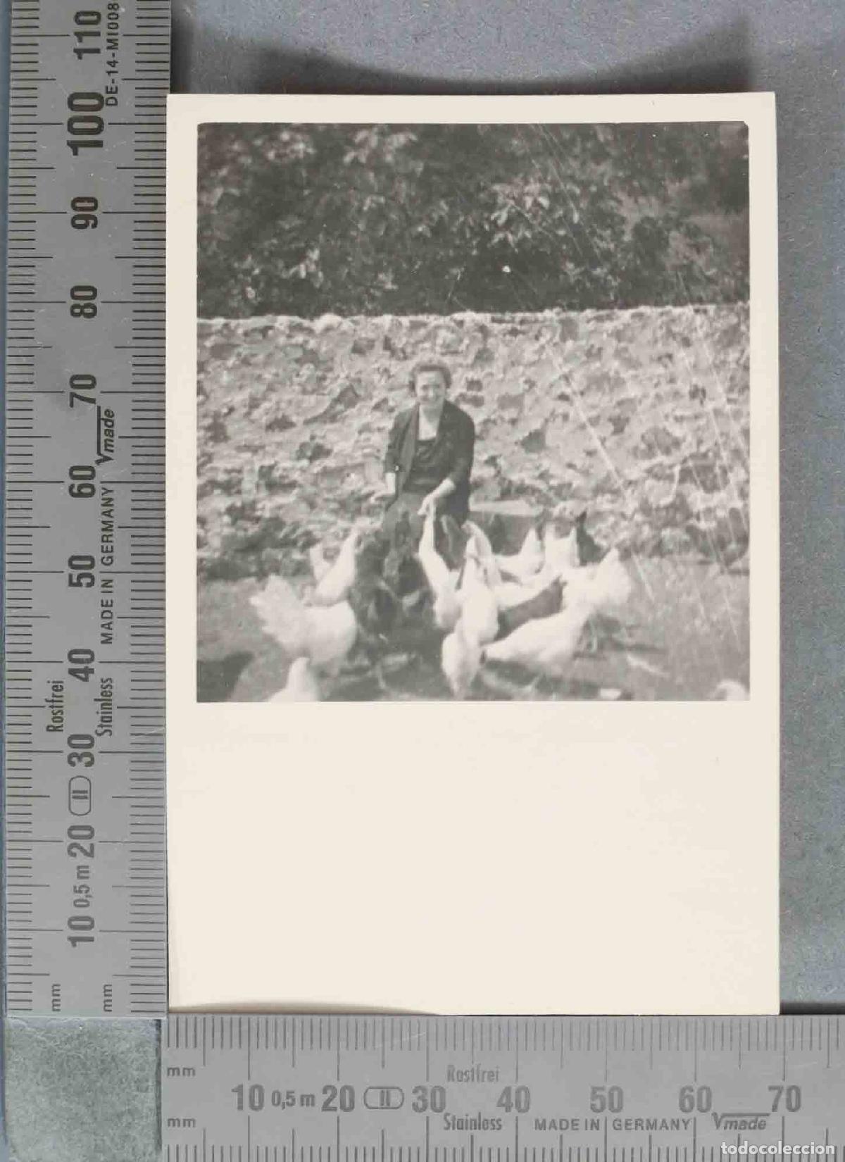 Alte Fotografie: FOTOGRAFIA. Mujer alimentando gallinas . HACIA 1940