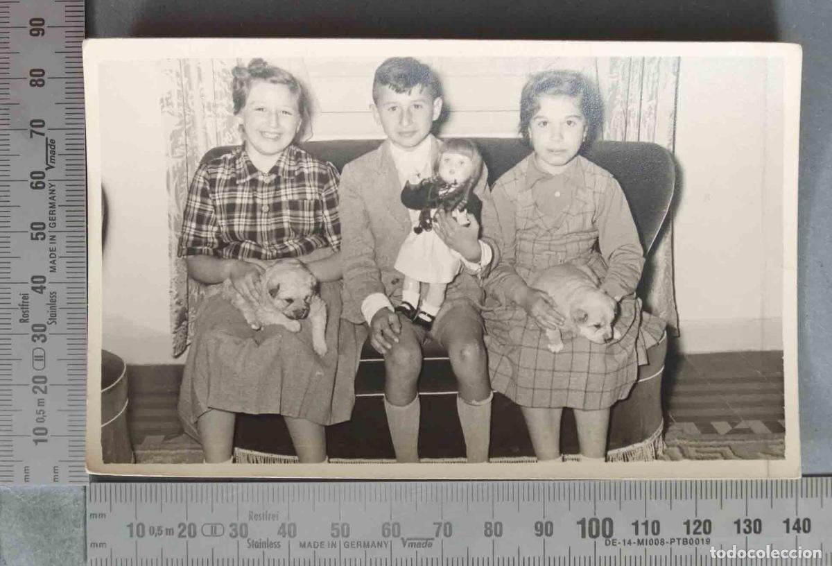 Fotografia antiga: FOTOGRAFIA. Tres ni&ntilde;os sentados en sill&oacute;n con cachorros y mu&ntilde;eca