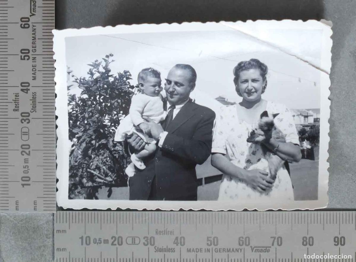 Fotograf&iacute;a antigua: FOTOGRAFIA. Familia con beb&eacute; y gato