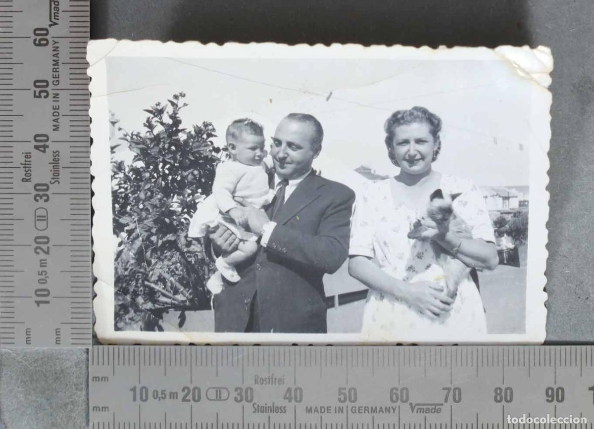 Fotograf&iacute;a antigua: FOTOGRAFIA. Familia con beb&eacute; y gato