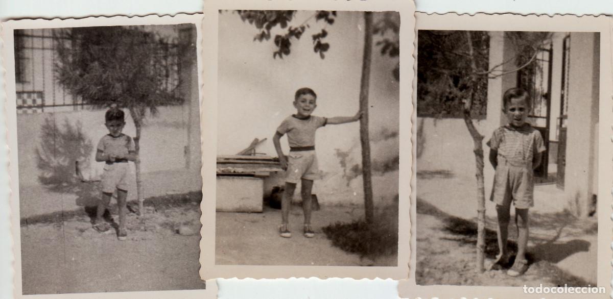 Photographie ancienne: Tres fotos. Ni&ntilde;o junto a un peque&ntilde;o arbolito. A&ntilde;os 50-60 sv