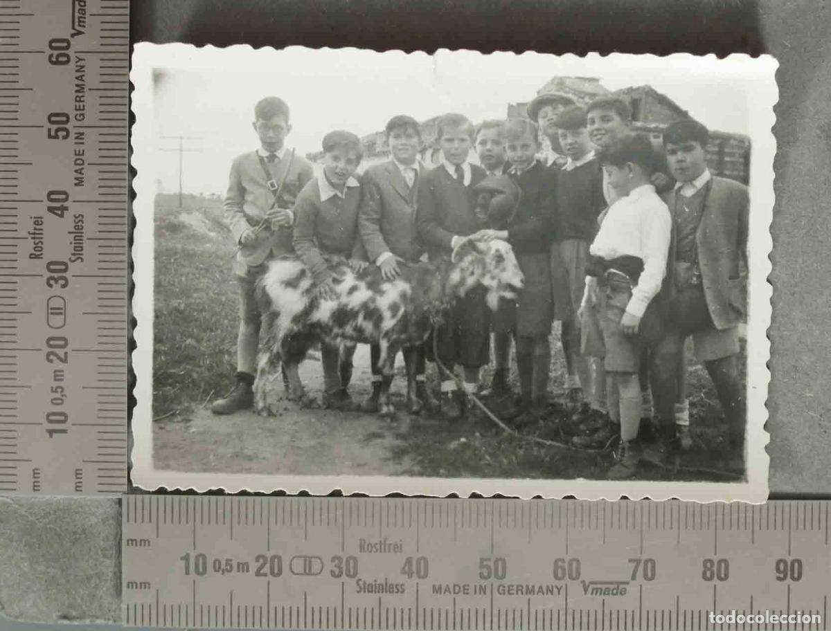 Fotograf&iacute;a antigua: FOTOGRAFIA. Ni&ntilde;os con cabra HACIA 1940