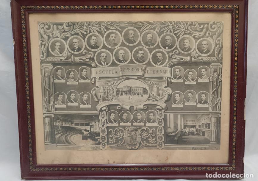 Fotograf&iacute;a antigua: ORLA, ESCUELA SUPERIOR DE VETERINARIA MADRID A&Ntilde;O 1927, 73 X 59 CM