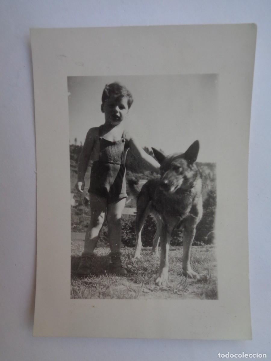 Fotograf&iacute;a antigua: FOTO DE NI&Ntilde;O CON PERRO PASTOR ALEMAN