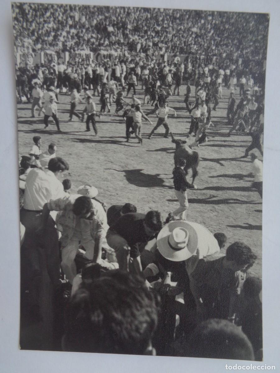 Fotograf&iacute;a antigua: FOTO DE UN ENCIERRO , PLAZA DE TOROS . SAN FERMIN ?