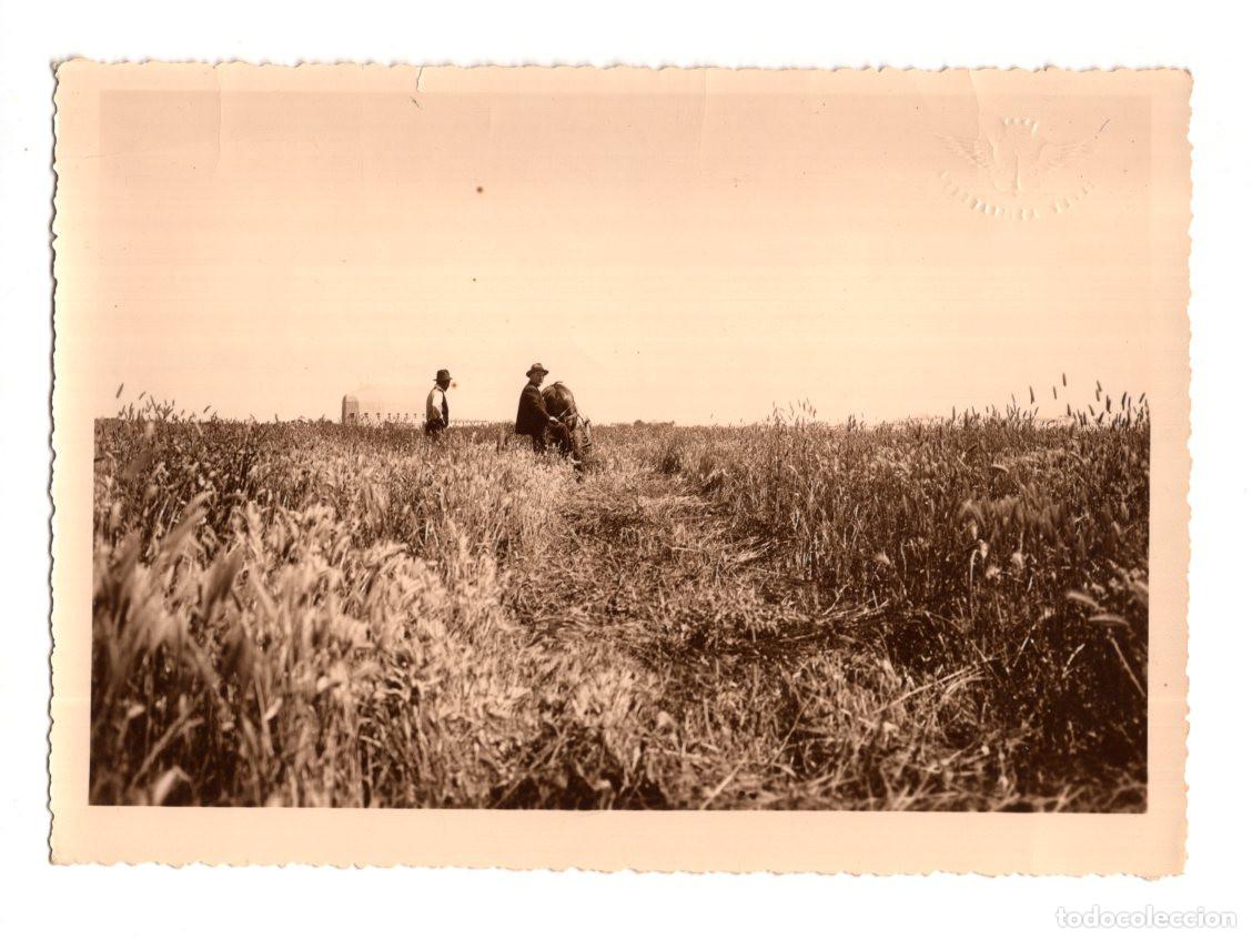Fotograf&iacute;a antigua: PRUEBA DE LA SEGADORA. 1933. SERVICIO AERONAVAL BASE DE SAN JAVIER. 17,5X12,5.