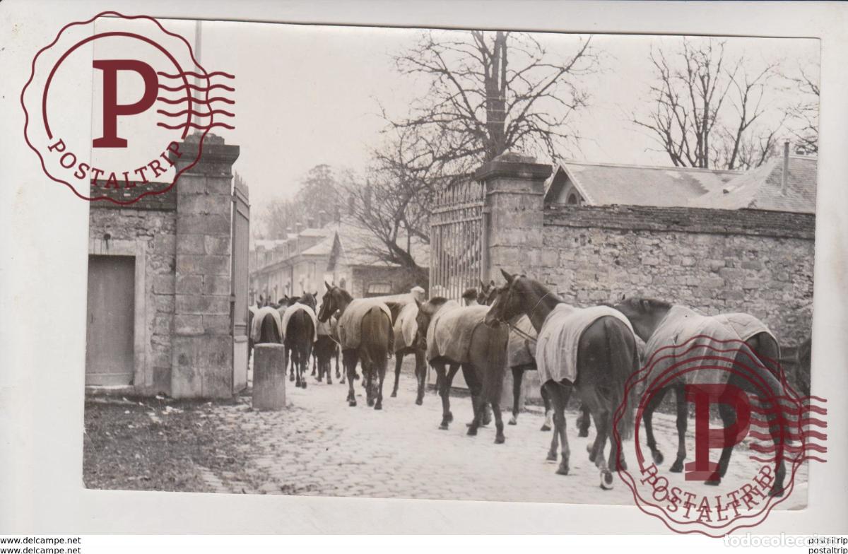 Fotograf&iacute;a antigua: lecole de cavalerie de daumur tarbes en raison ecole civile de cavalerie cheveaux au carrousel