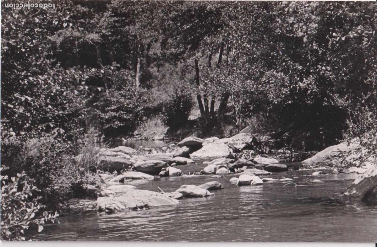 Fotograf&iacute;a antigua: ANTIGUA FOTOGRAFIA MONTSENY, FONDOS DEL TORDERA &ndash; DORSO EN BLANCO