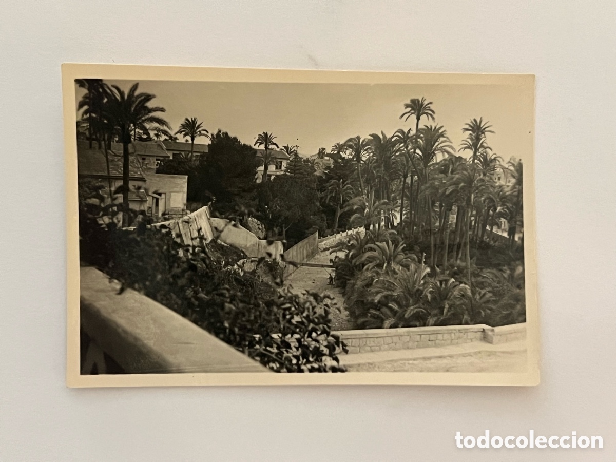 Fotograf&iacute;a antigua: ELCHE.. Fotograf&iacute;a Vista panor&aacute;mica de sus Puentes y el Palmeral.. (h.1957?) Medidas: 9 x 6