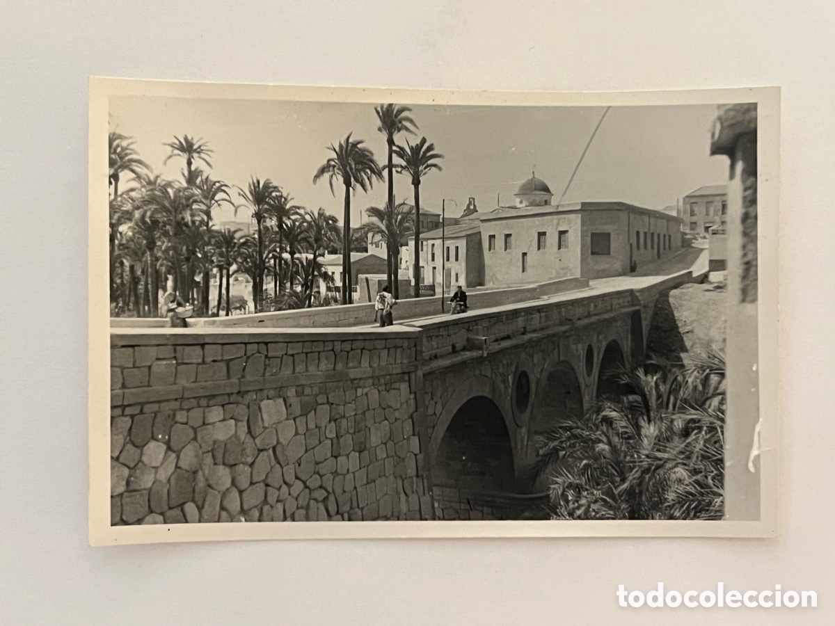 Fotograf&iacute;a antigua: ELCHE.. Fotograf&iacute;a Vista panor&aacute;mica de sus Puentes y el Palmeral.. (h.1957?)