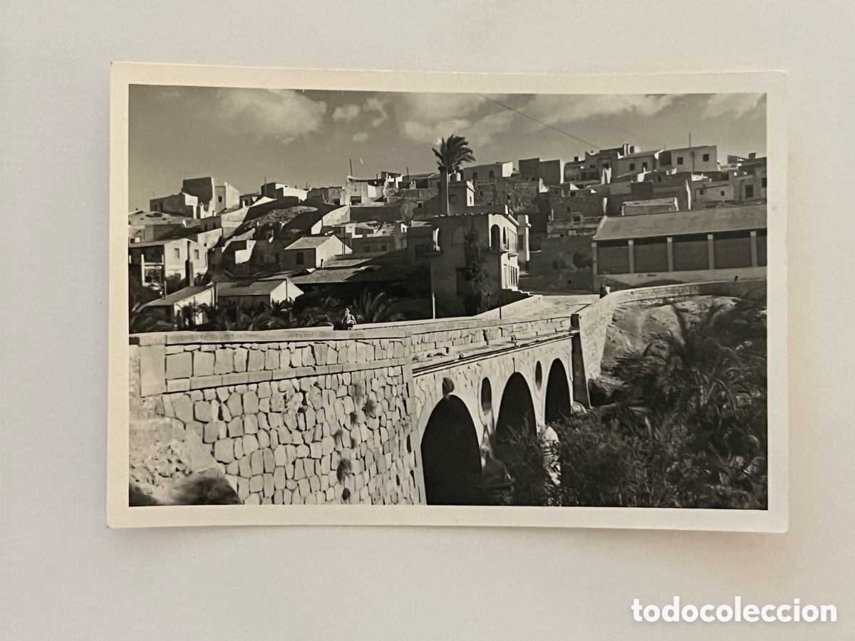 Fotograf&iacute;a antigua: ELCHE.. Fotograf&iacute;a Vista panor&aacute;mica de sus Puentes y el Palmeral.. (a.1955) Medidas: 10 x 6,8