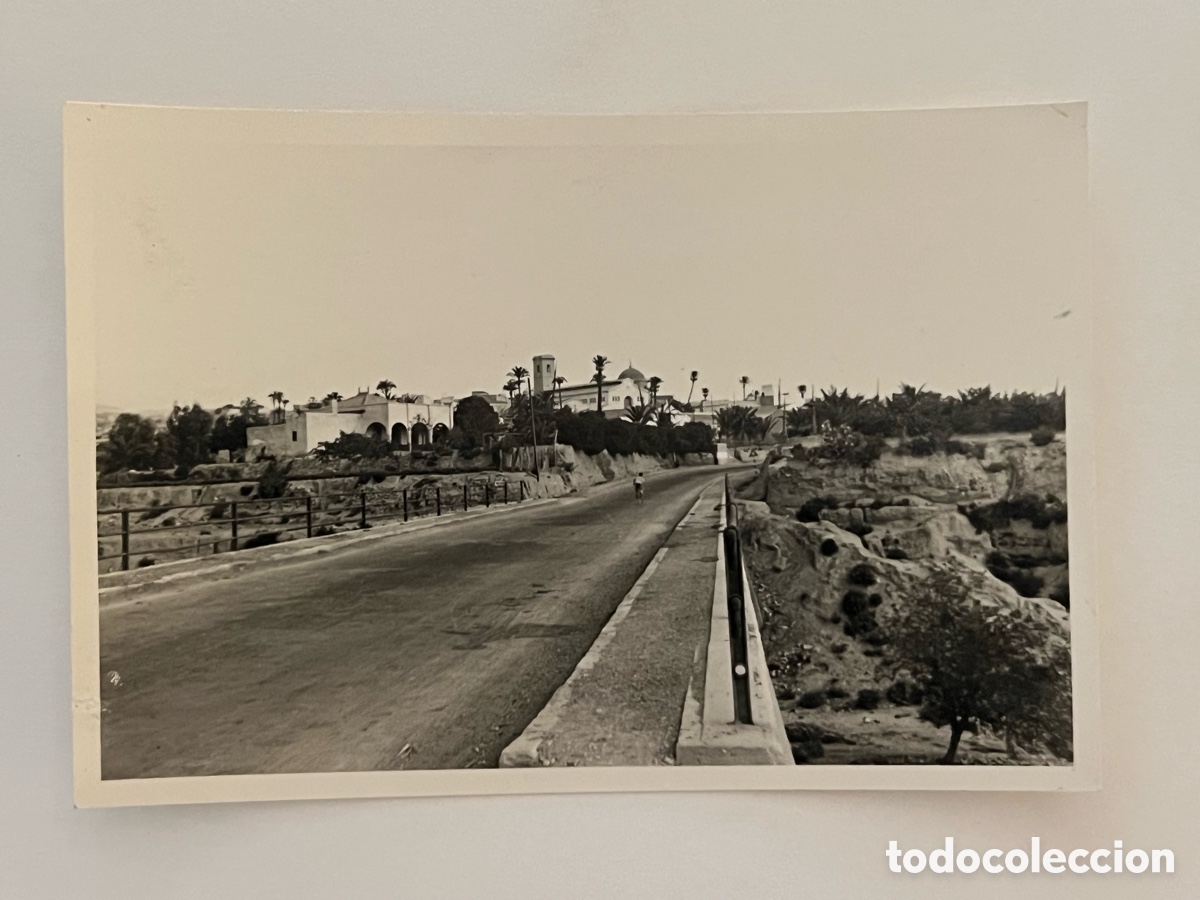 Fotograf&iacute;a antigua: ELCHE.. Fotograf&iacute;a Vista panor&aacute;mica de sus Puentes y el Palmeral.. (a.1955) Medidas: 10 x 6,8