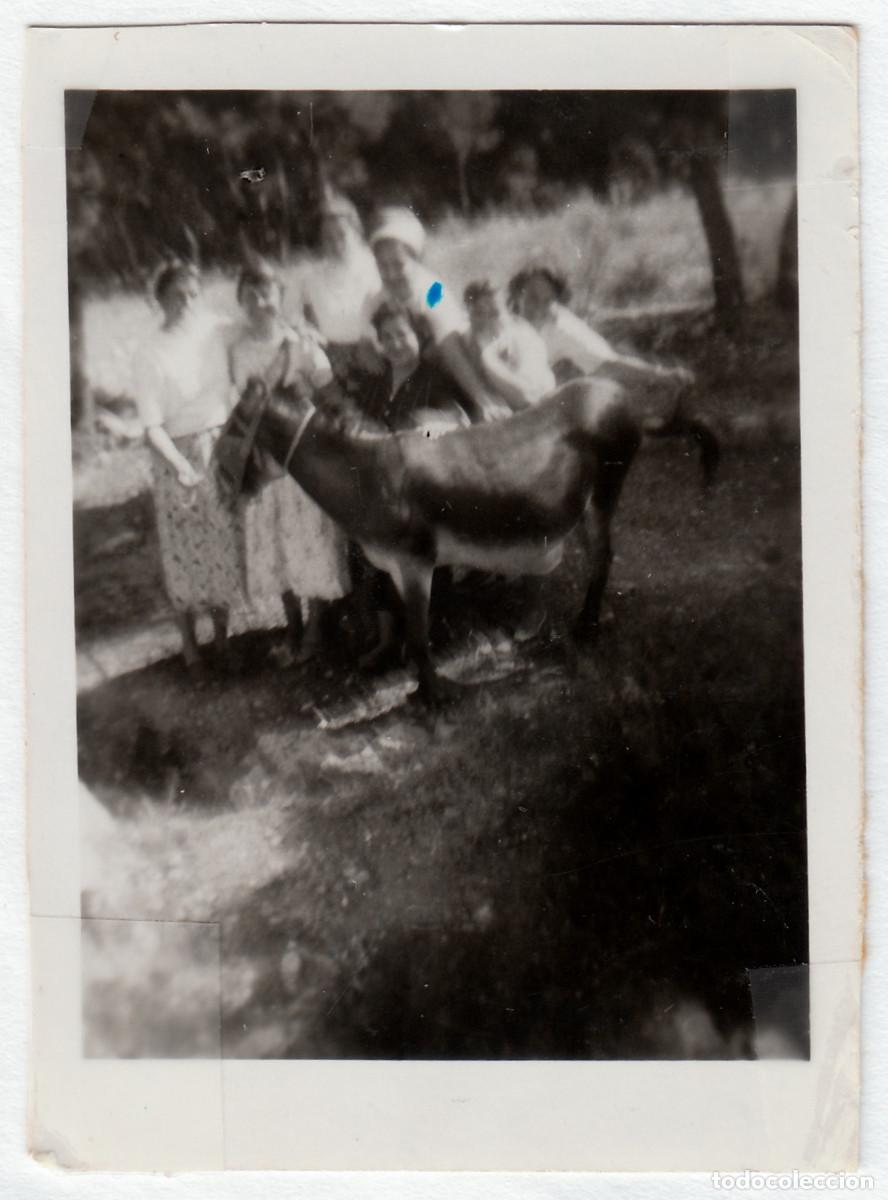 Fotograf&iacute;a antigua: Chicas con un burrito. Ermita Santa Marta, Cullera, Val&egrave;ncia. A&ntilde;os 50 g aa