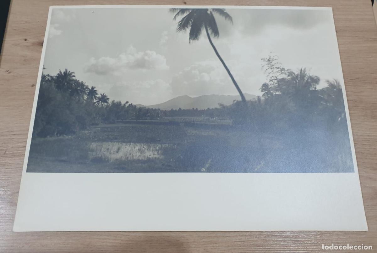 Antique Photography: ASIA. INDOCHINE. INDOCHINA. GRAND FORMAT. FOTO PHOTO. 39.5X29.5CM