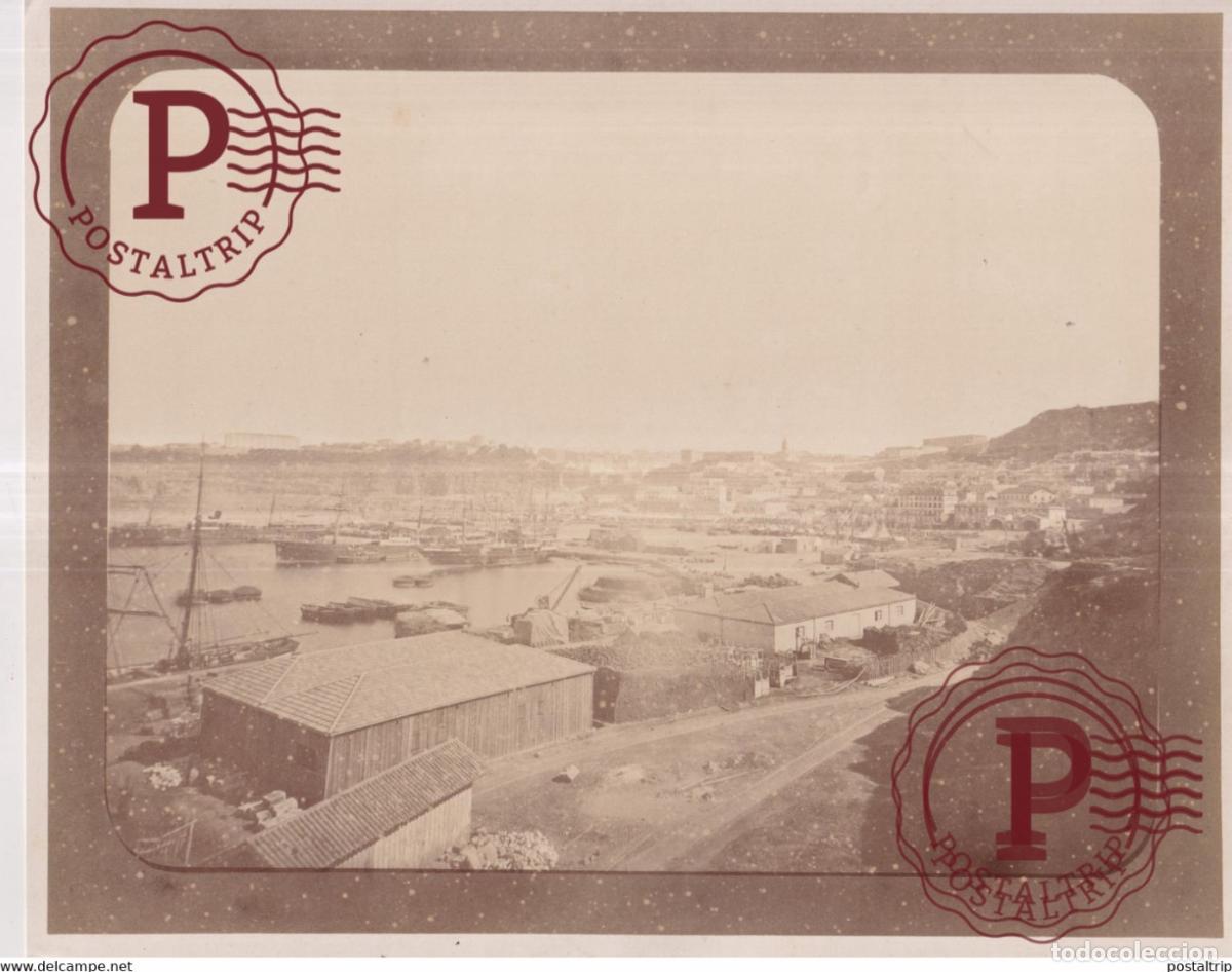 Fotografia antiga: OLD COPY? ALGER 26 X 20 CM ARGELIA ALGERIA ALGERIE AFRIQUE PHOTOGRAPHIE