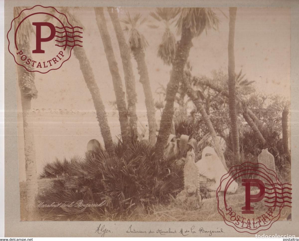 Fotograf&iacute;a antigua: Alg&eacute;rie, Marabout &agrave; la Bouzareah 27 *22 CM ARGELIA ALGERIA ALGERIE AFRIQUE PHOTOGRAPHIE