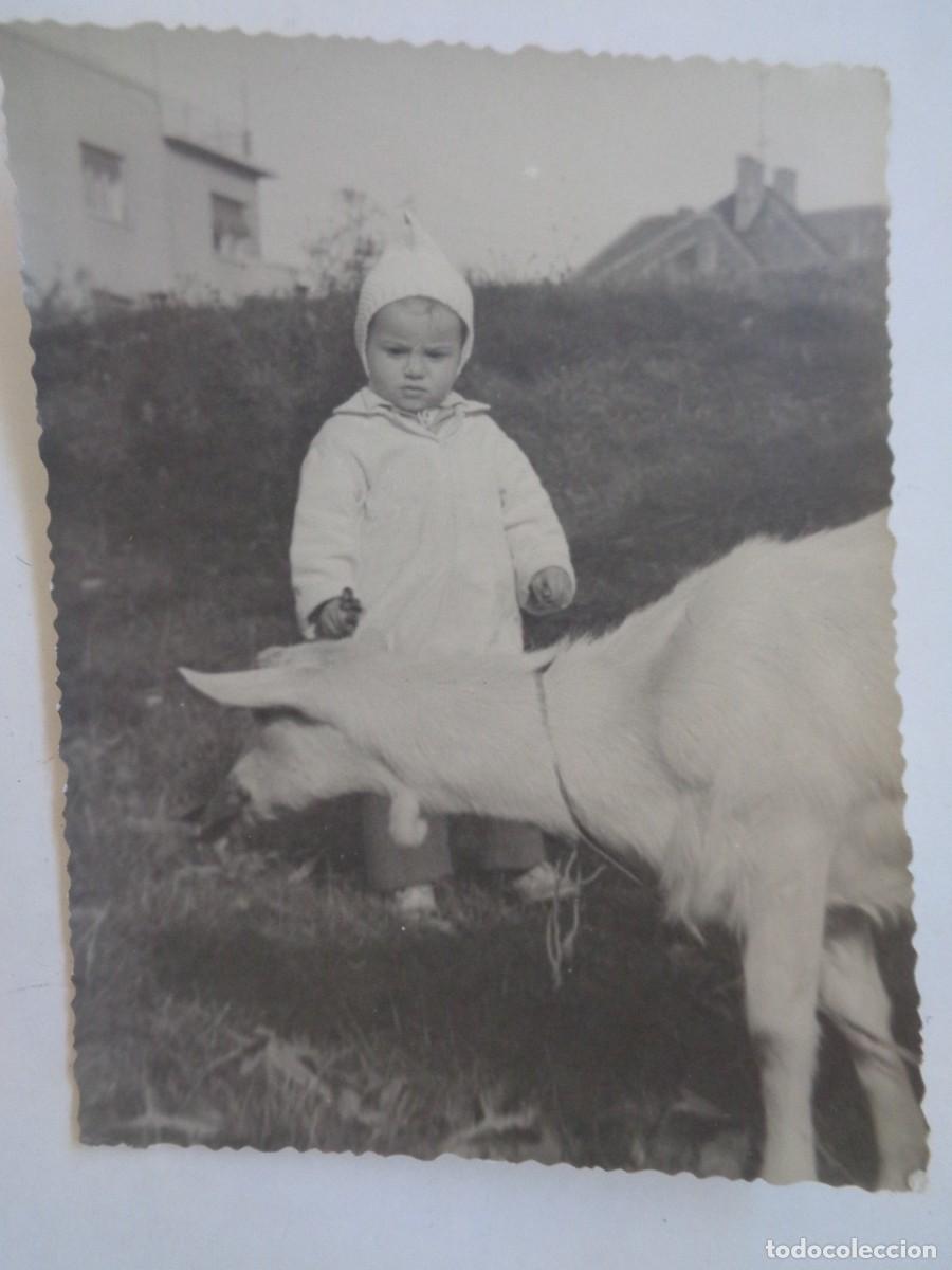 Antique Photography: FOTO DE NI&Ntilde;O Y CABRA , 1952