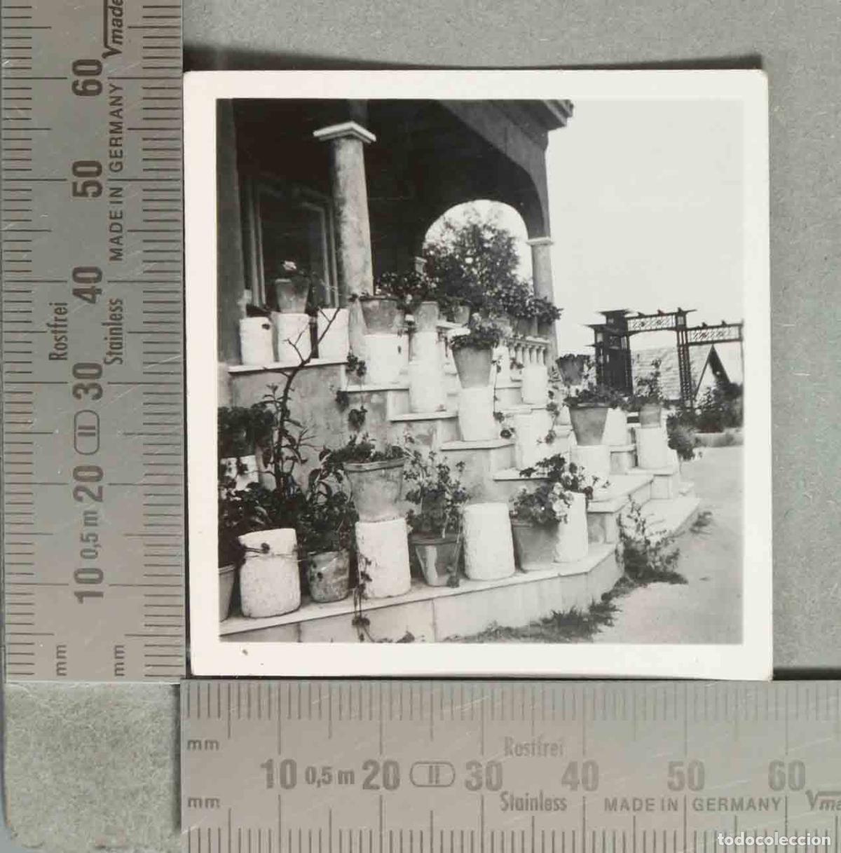 Fotografia antica: FOTOGRAFIA. VISTA DE JARDIN. PAISAJISMO hacia 1940