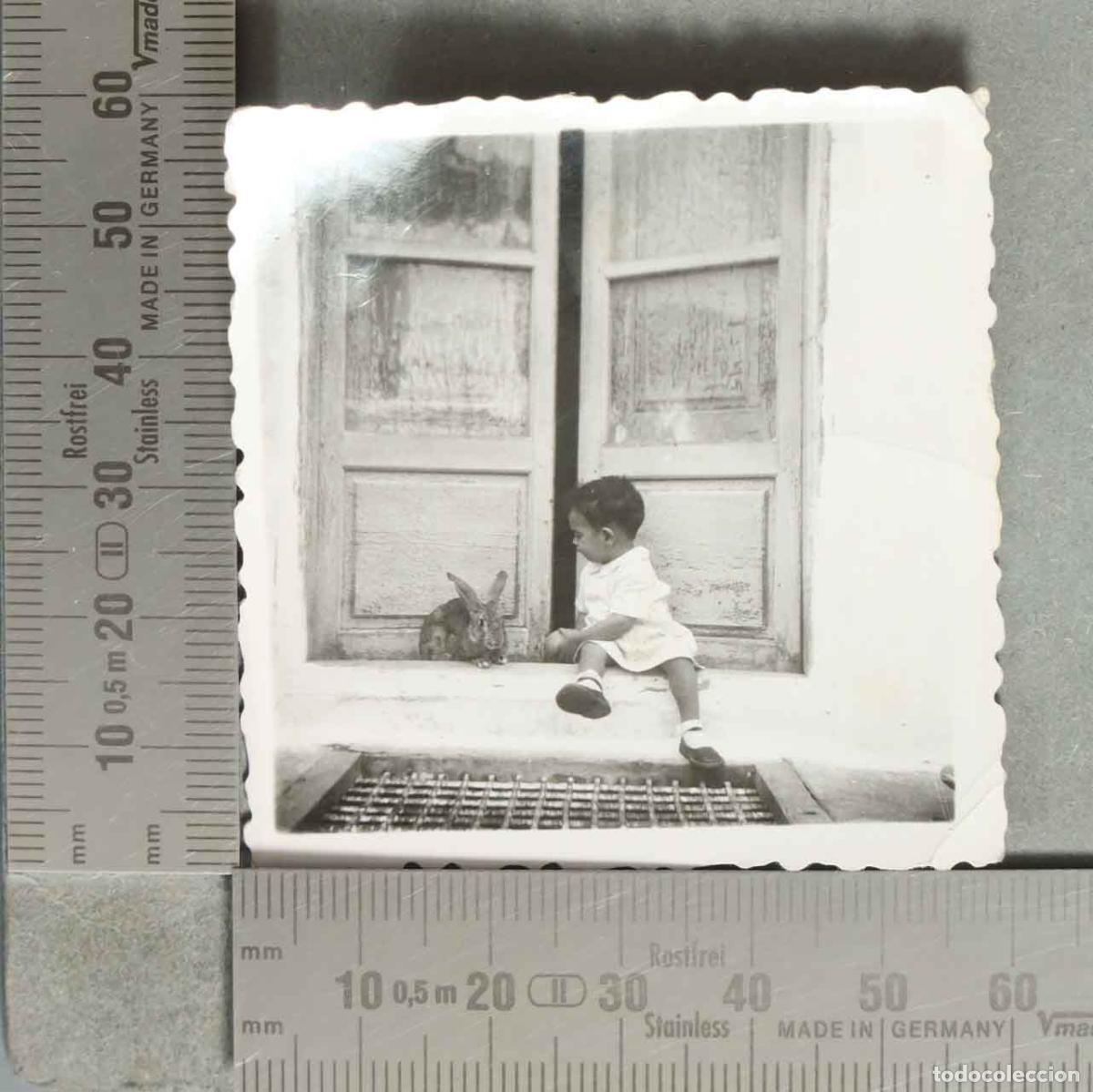 Fotografia antica: FOTOGRAFIA. Ni&ntilde;o con conejo en la ventana hacia 1940