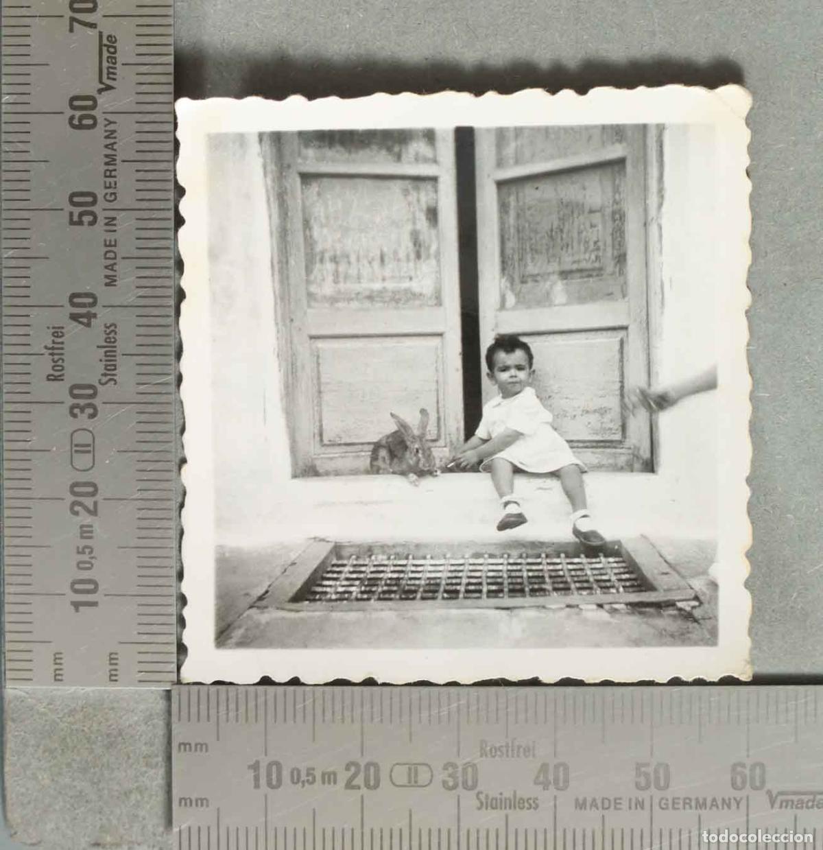 Fotograf&iacute;a antigua: FOTOGRAFIA. Ni&ntilde;o con conejo en ventana de madera antigua hacia 1940