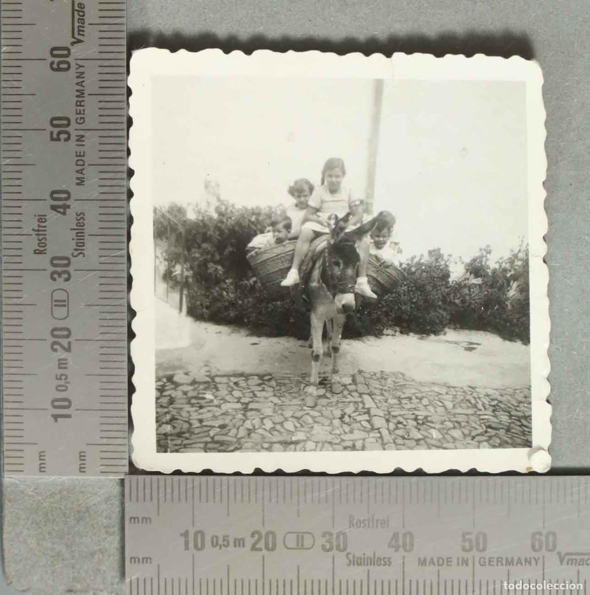 Fotografia antica: FOTOGRAFIA. Ni&ntilde;os montados en burro con serones hacia 1940