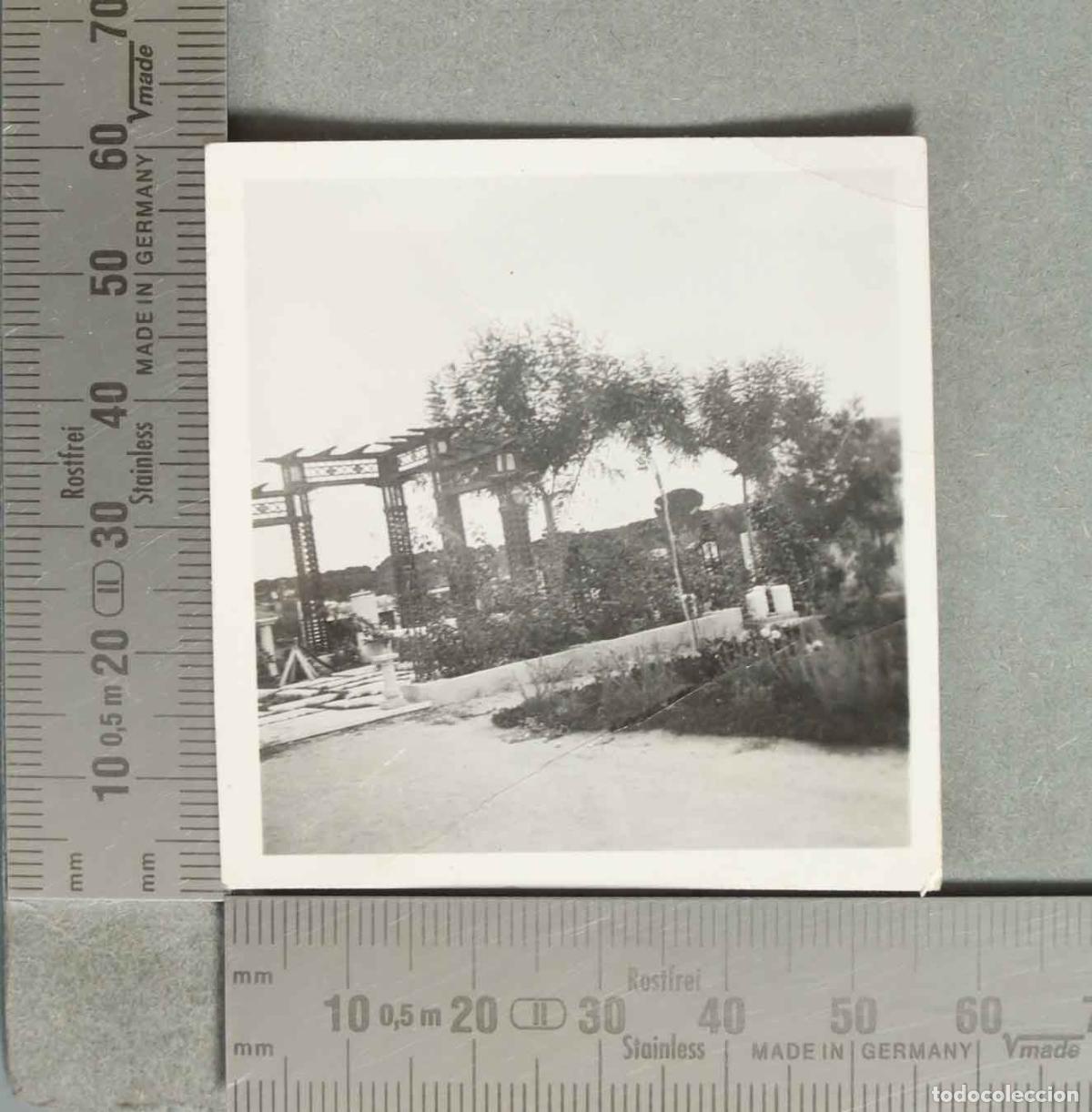 Fotografia antica: FOTOGRAFIA P&eacute;rgola de jard&iacute;n. PAISAJISMO hacia 1940