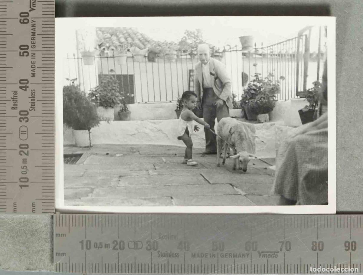 Fotograf&iacute;a antigua: FOTOGRAFIA Ni&ntilde;o con cordero y hombre en el patio hacia 1940