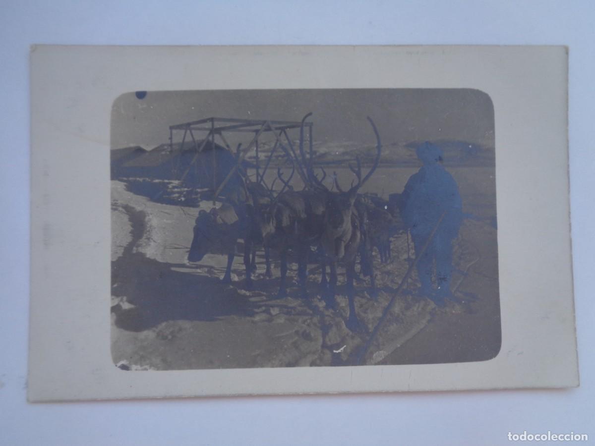 Fotograf&iacute;a antigua: FOTO DE LAPON CON RENOS Y TRINEO. FINLANDIA PRINCIPIOS DE SIGLO