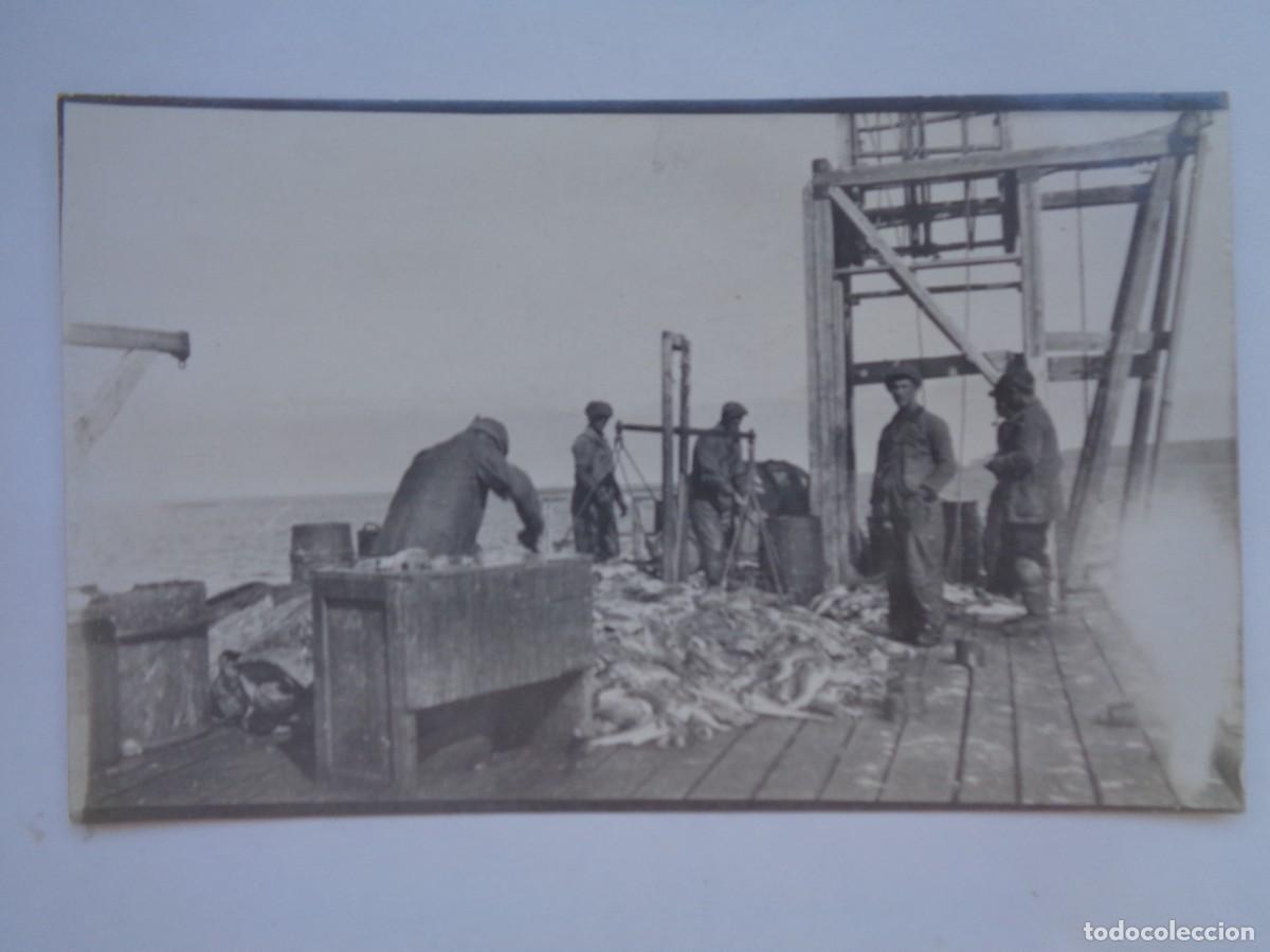 Fotograf&iacute;a antigua: FOTO DE BARCO DE PESCA , PESCADORES Y CAPTURAS . FINLANDIA PRINCIPIOS DE SIGLO