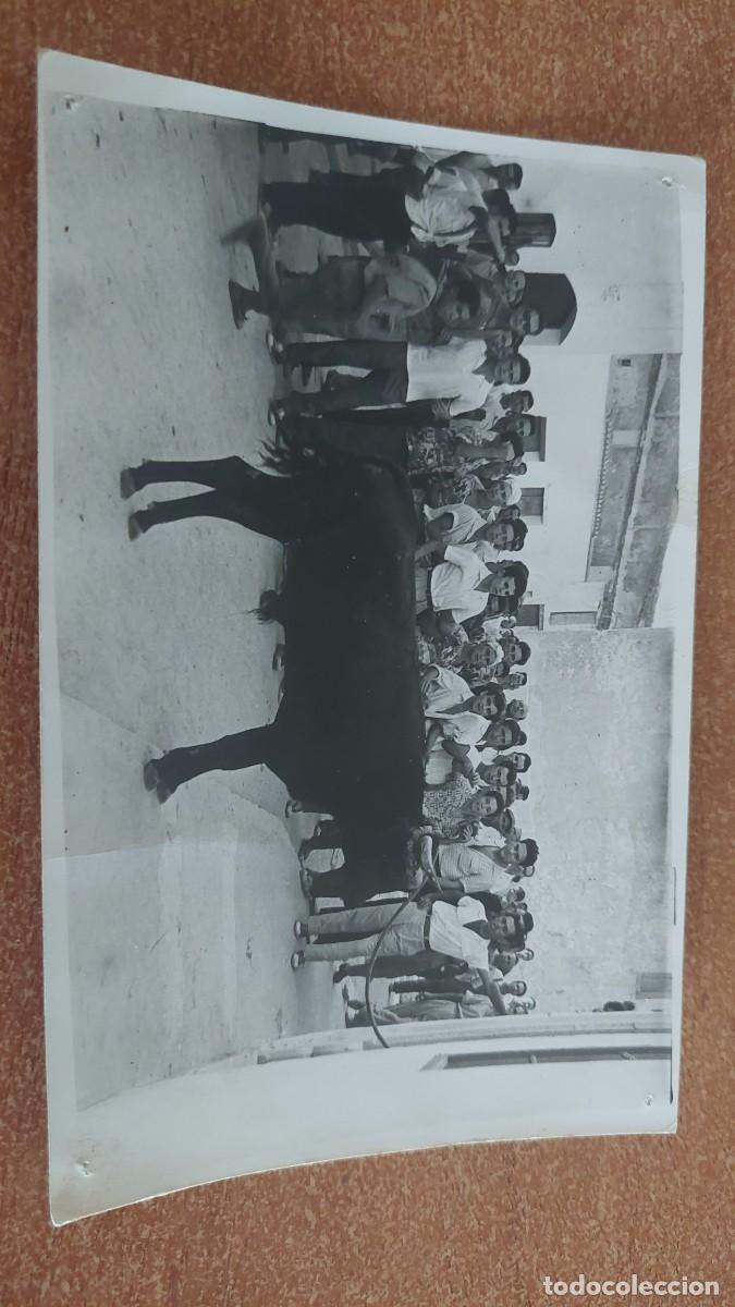 Fotograf&iacute;a antigua: Foto postal Toro ensogao Chiva