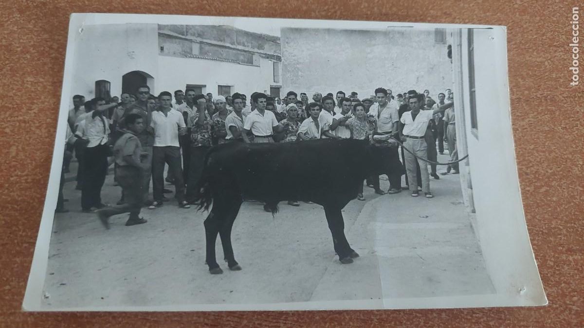 Fotografia antica: Foto postal Toro ensogao Chiva