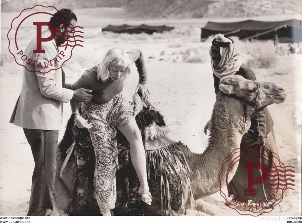 Fotograf&iacute;a antigua: THE DIVIDED KINGDOM JORDAN CAMEL Jordanie MIDDLE EAST JORDAN ASIE