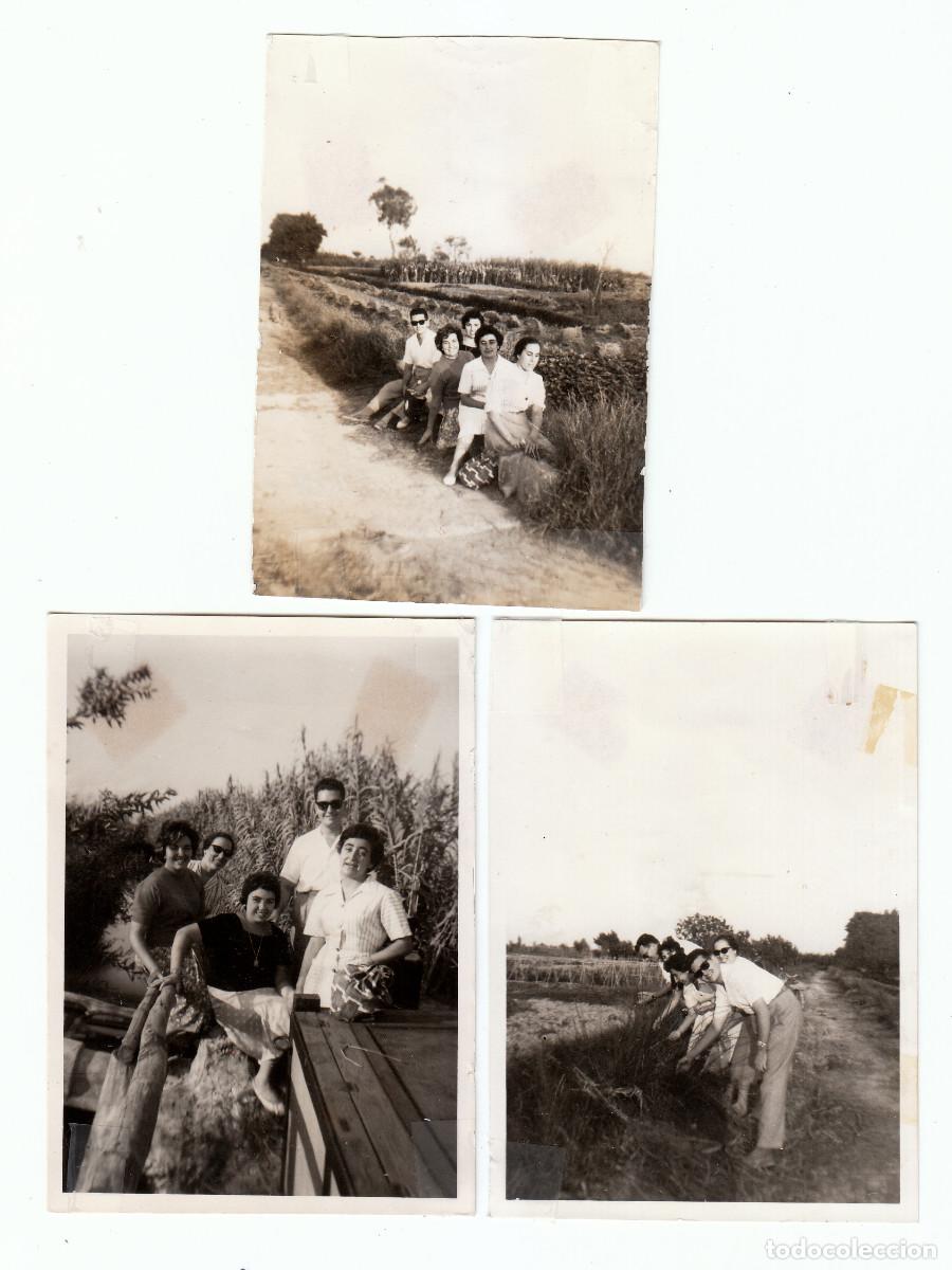 Fotograf&iacute;a antigua: 3 fotos. En los arrozales, San Carlos de la R&aacute;pita, Tarragona. A&ntilde;os 60 g aa