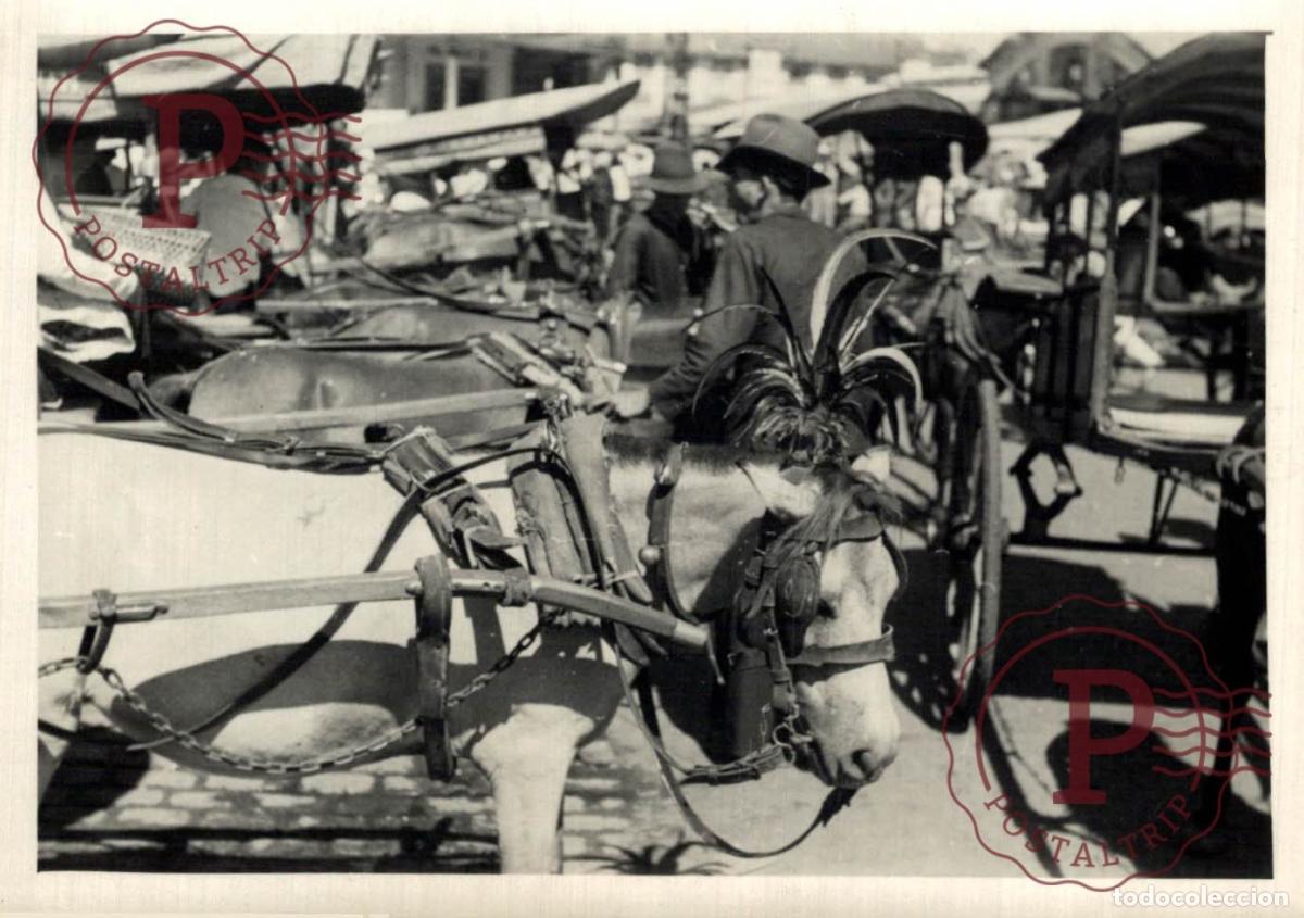 Fotograf&iacute;a antigua: ASIA. ASIE. LOTE 21 PHOTOS. SEE SCAN. MIRE ESCAN