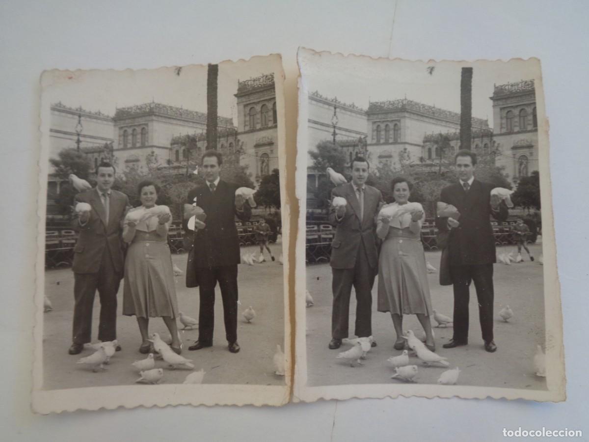 Fotograf&iacute;a antigua: LOTE DE 2 MINUTEROS FOTOGRAFO DEL PARQUE DE MARIA LUISA DE SEVILLA: GENTE EN PLAZA PALOMAS , 1954