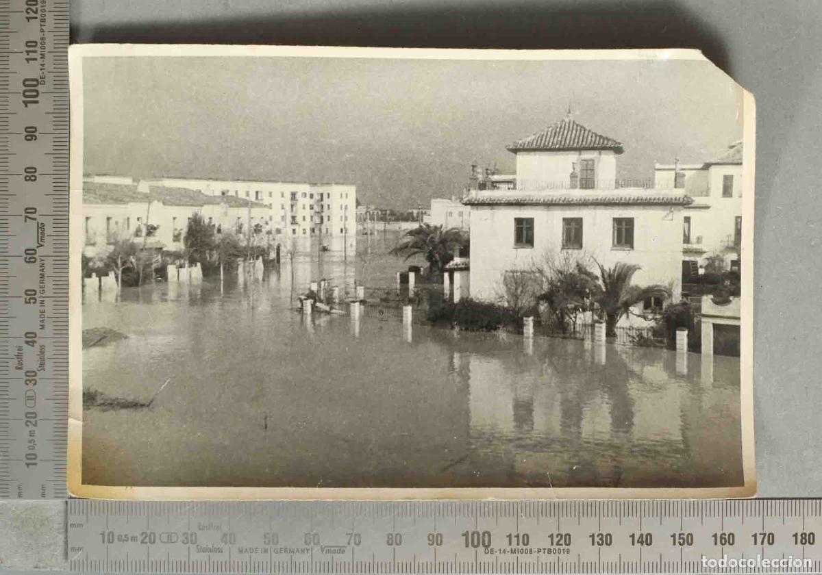 Fotografia antiga: FOTOGRAFIA. RIADA SEVILLA. 1948