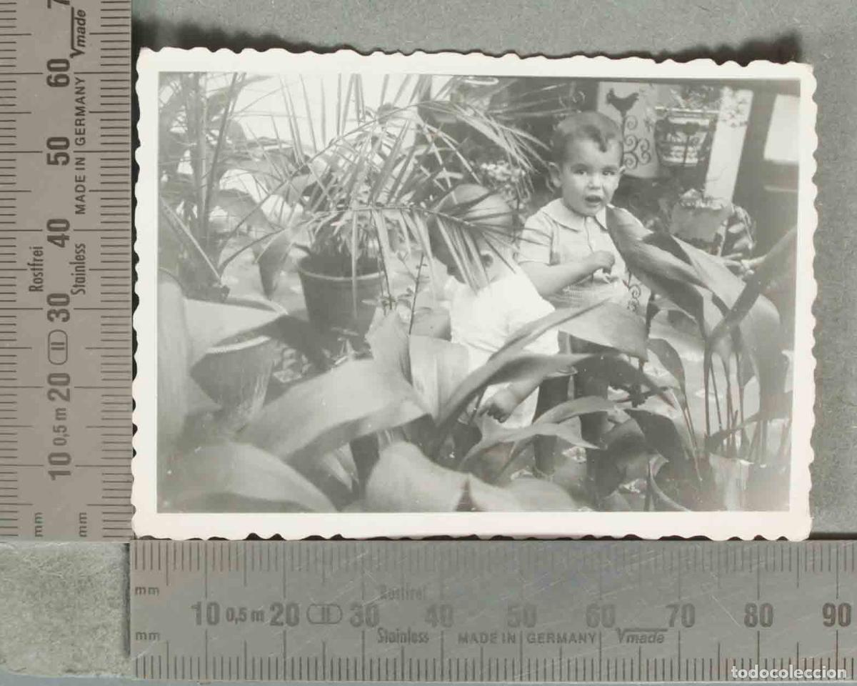 Fotografia antiga: FOTOGRAFIA. NI&Ntilde;OS EN PATIO hacia 1940